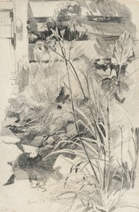木製のフェンスによるデイリリー、1862（黄褐色の紙に黒鉛） 作： William Trost Richards